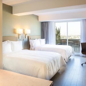 Superior Kamer met een King Size Bed